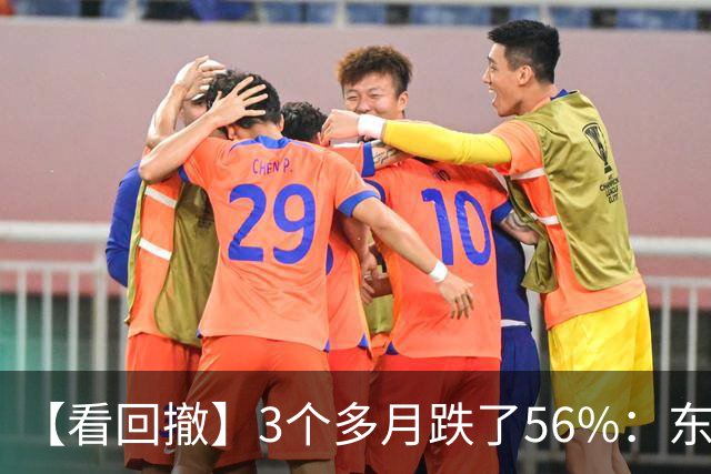 【看回撤】3个多月跌了56%：东方阿尔法基金百万持有人何去何从？
