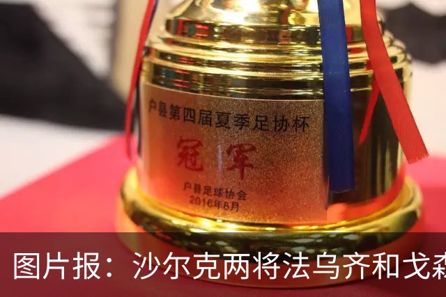 图片报：沙尔克两将法乌齐&戈森斯严重撞伤，将缺席杯赛