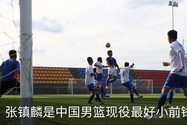 张镇麟是中国男篮现役最好小前锋！比曾凡博耐操，比崔永熙实用