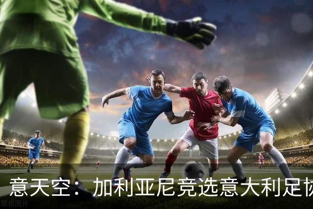 意天空：加利亚尼竞选意大利足协主席的可能性正在增加