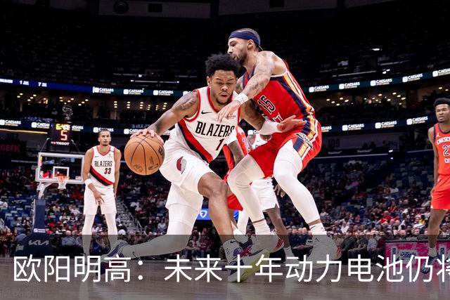 欧阳明高：未来十年动力电池仍将以磷酸铁锂为主，半固态电池不能与全固态混为一谈