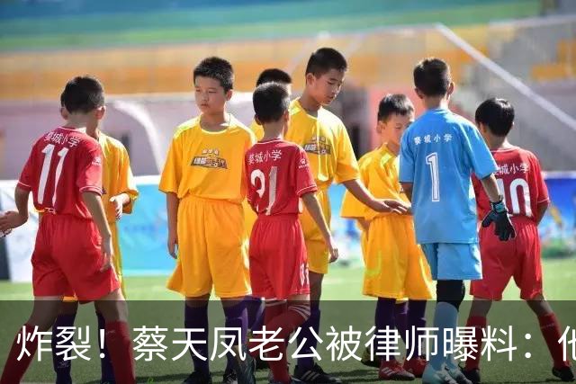 炸裂！蔡天凤老公被律师曝料：他想和邝港智成恋人，因一事没得逞