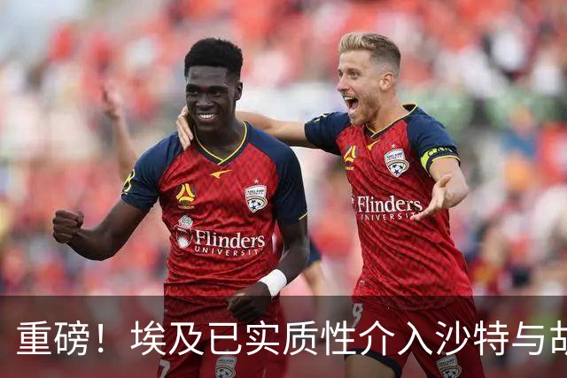 重磅！埃及已实质性介入沙特与胡塞武装的冲突